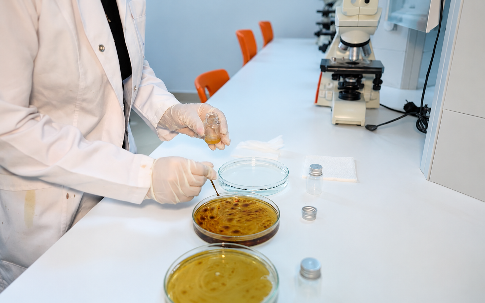 Clean Caspian completes first phase of oil-spill treatment research